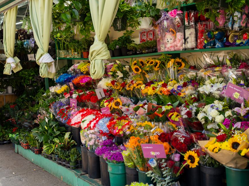 A vibrant display of fresh floral arrangements at Golders Green Florists, showcasing a variety of colorful flowers including sunflowers, roses, lilies, and carnations, wrapped in clear, patterned, and